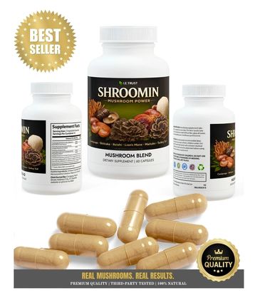 mushroom best supplement mushroom blend Cordyceps Shiitake Turkey Tail Reishi Lion’s Mane Maitake