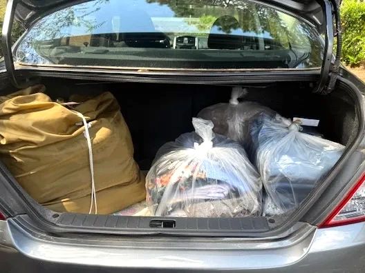 Nicely folded laundry in bags in trunk of car