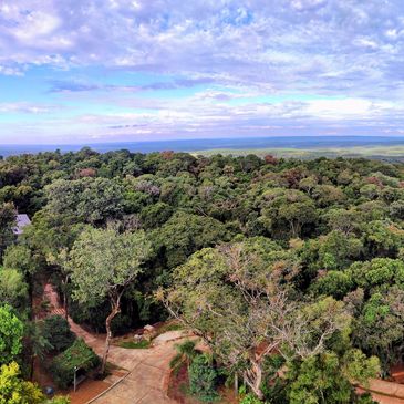 Soil blessed with high iron and preserved naturally to offer the necessary magnesium for consumption