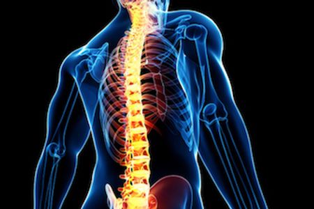 Spinal health, spinal correction, back pain, neck pain, spinal alignment