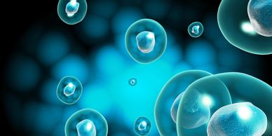 Detox, Cellular detox, far infrared sauna