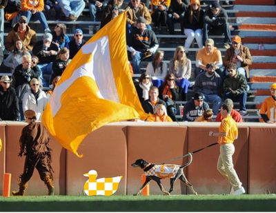 Big T flag with crowd in background