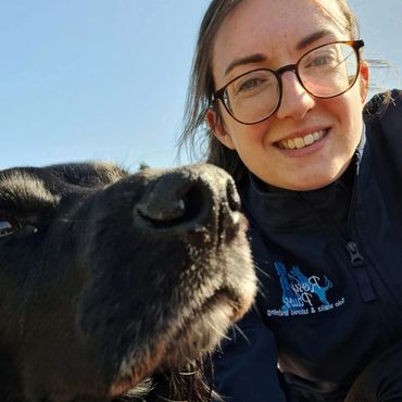 Dog Trainer Edinburgh. Cocker Spaniel.
