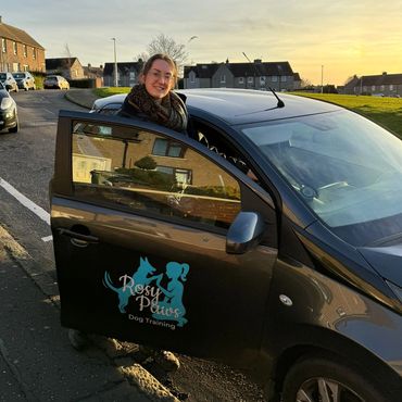 Dog Trainer Edinburgh.