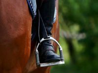 Riding Academy and Independent Riding Instructor Liability 