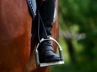 Equestrian-Gentlemans Farm Insurance