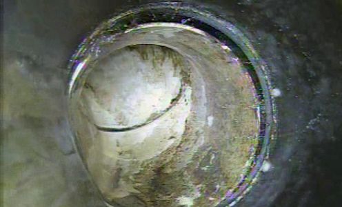 Separated pipe with possible root intrusion.