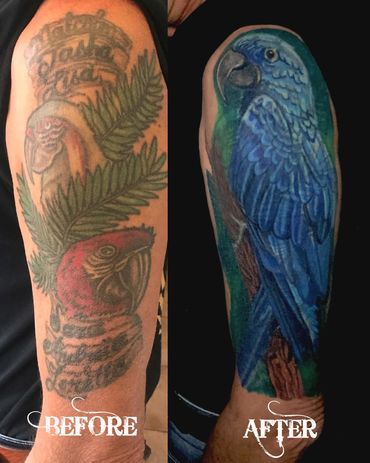 Colour tattoo cover-up before and after in Hamilton, Ontario done by Dahlia Vanderbeek of Renegade
