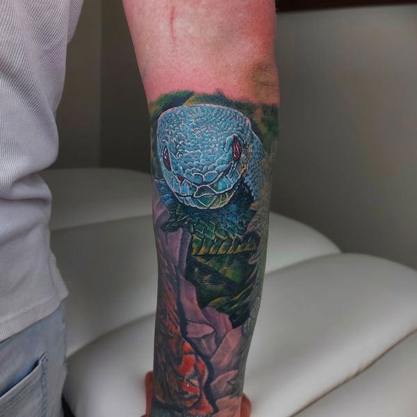 Blue snake tattoo by Dave Sanders, Renegade Tattoo Canada, Hamilton, Ontario