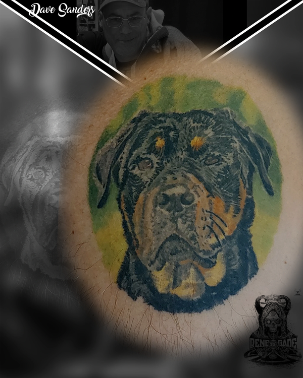 Healed realistic dog portrait tattoo with soft colour and detailed facial features by Dave Sanders