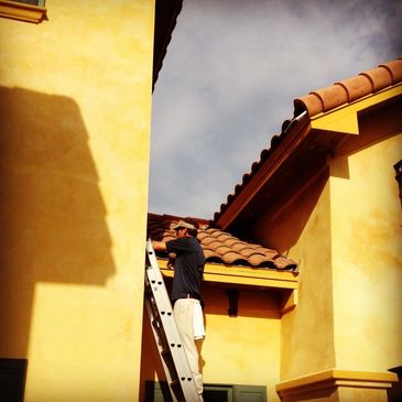 Port Saint Lucie Rodent Control. Rat Removal, Rat Trapping, Rat Exterminator