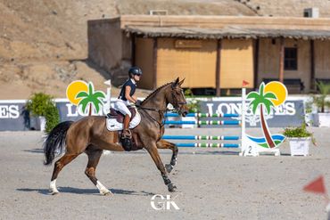 KMS Comet, Flying Round CSI1* International 2024 in Furjairah