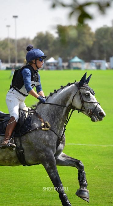 Merlot V Competing at Desert Palm Polo Club in FEI Eventing series
