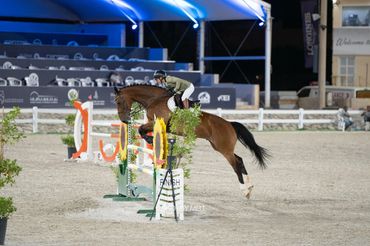 KMS Comet jumping a clear showjumping round at SERC in 120 cm.