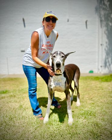 Woman smiling with a large Great Dane dog outdoors on grass.