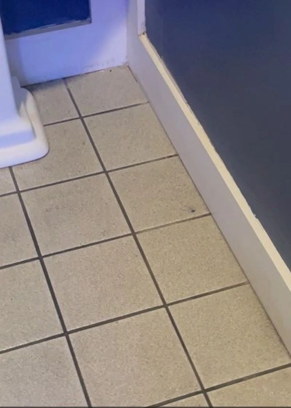 Our Sunshine touch can make anything shine!