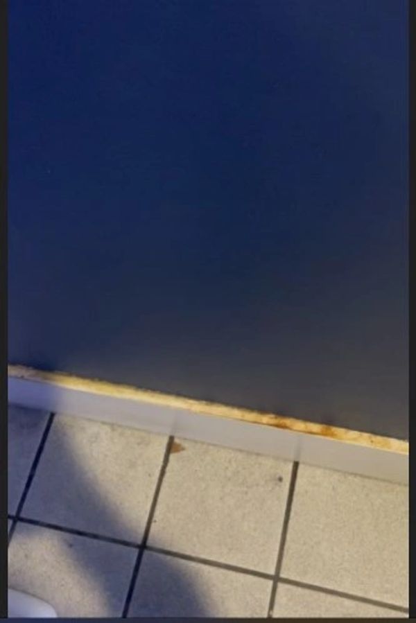 Grimey Baseboard. Yuck...