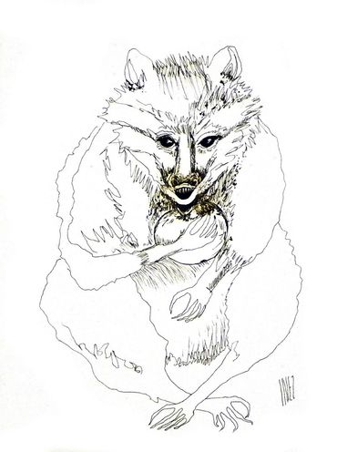 "Racoon" ink drawing by Inez Running-rabbit.