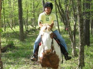 Horse and rider on a wooded trail.