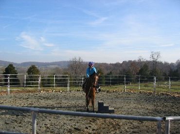 Horse and rider in a 60' sand/bluestone round pen.