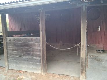 Outside stalls on modified corn crib barn.