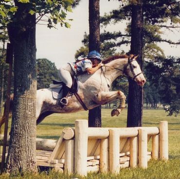 Appaloosa horse jumping a cross-country jump.