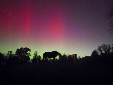 Northern Lights visible in Virginia.