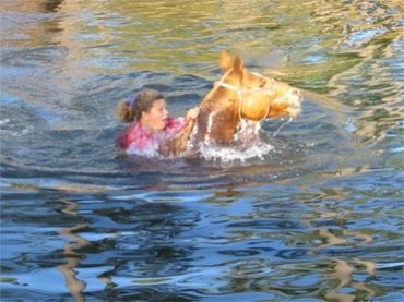 Horse and rider swimming.