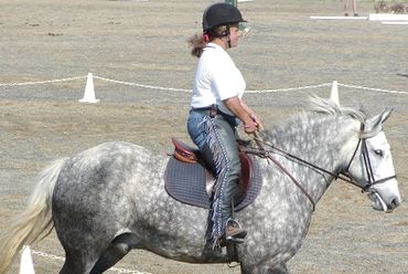 Rider on a dapple grey horse.