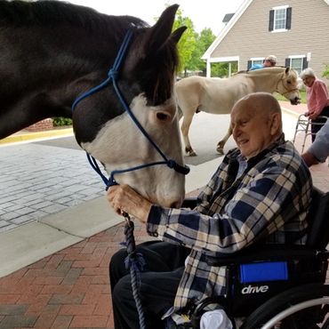Two horses visiting an assisted living facility.