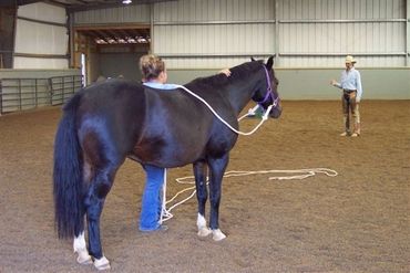Ground work clinic with a bay pony.