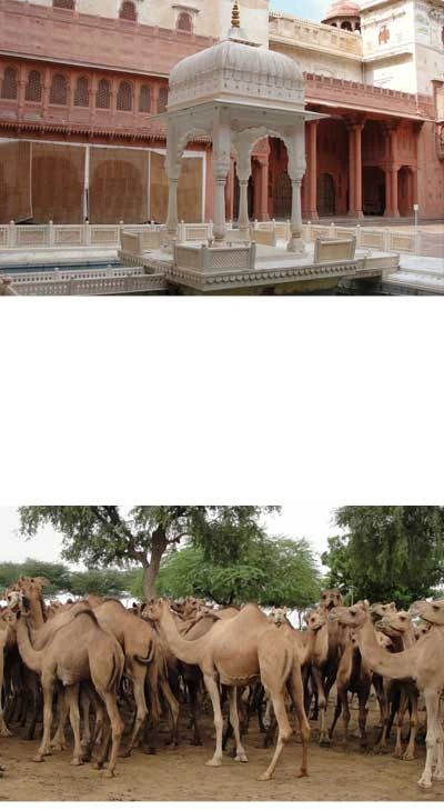 Bikaner Rajasthan