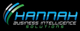 Hannah Business Intelligence Solutions, Inc.
