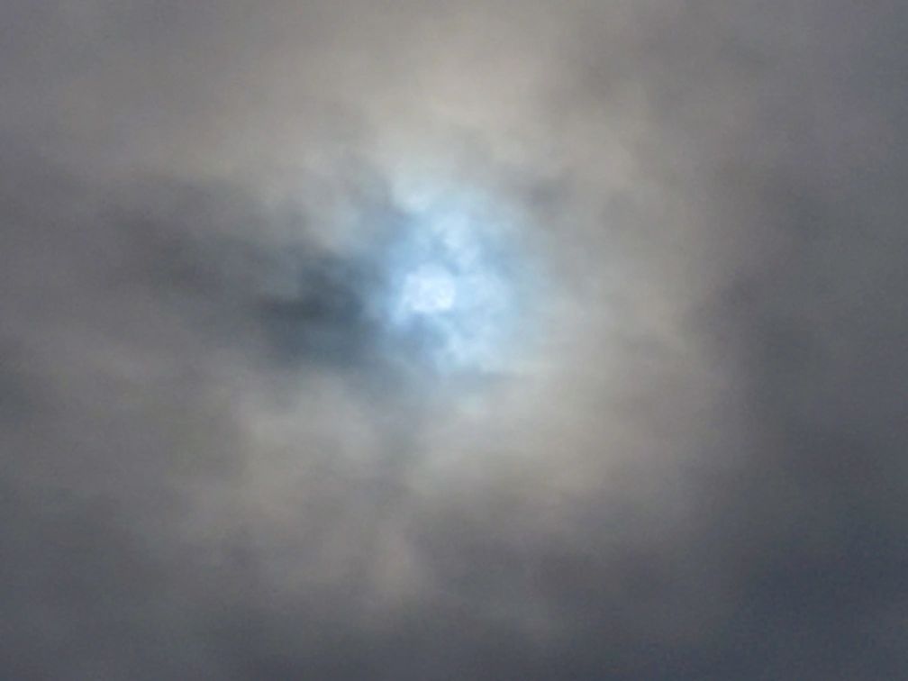 Universal Vitruvian Man