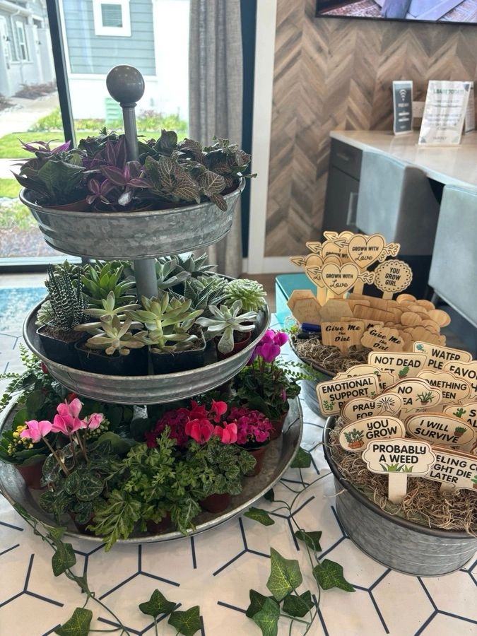 My Plant Wagon display with live plants, succulents and wooden plant markers.