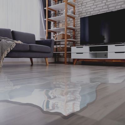 Slab Leak Detection Water Coming Through Floor In Denver Living Room