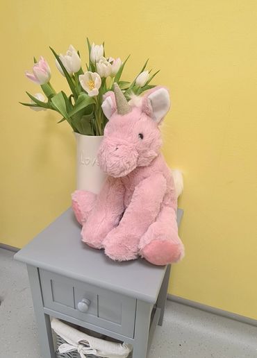 pink-unicorn-pulse-beat-teddies-baby-scan-products-gender-scan-little-miracles-sonography