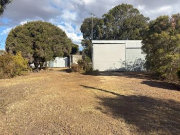 Dry grassy yard with white shed and trees.