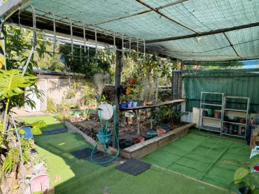 Covered garden area with plants and gardening tools.