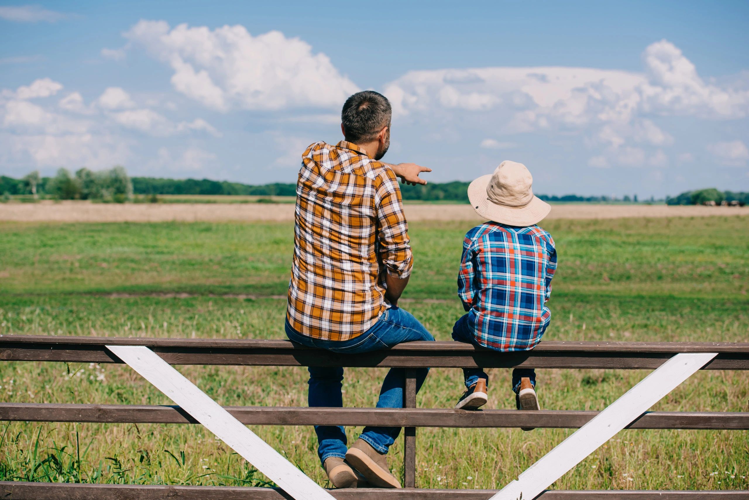 Man and child sitting on a fence, looking at a green field under a blue sky.