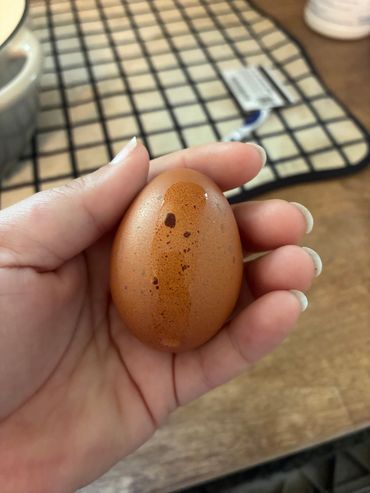 Hand holding a brown egg with water drops.