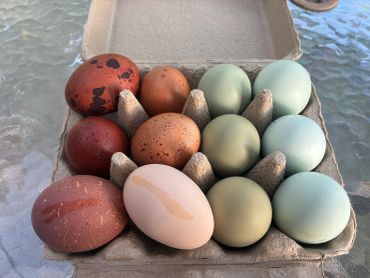 A carton of eggs in various colors and patterns.