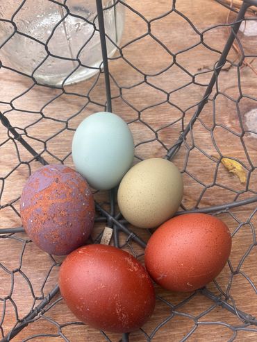 Basket of multicolored farm eggs on a wooden surface.