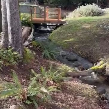 Island Country Weddings - Sylvia's Place has three creeks running most of the year.