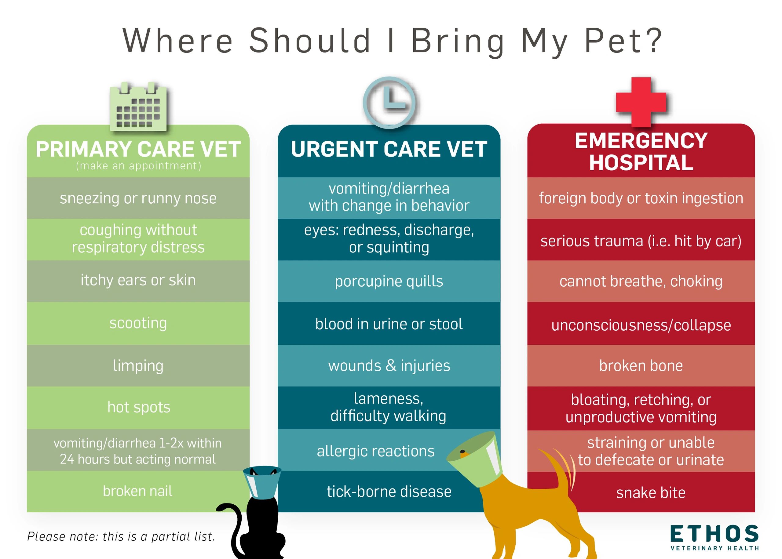 Where Should I Bring My Pet
