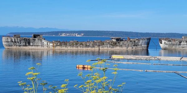 Abandoned rusty shipwreck on calm waters.