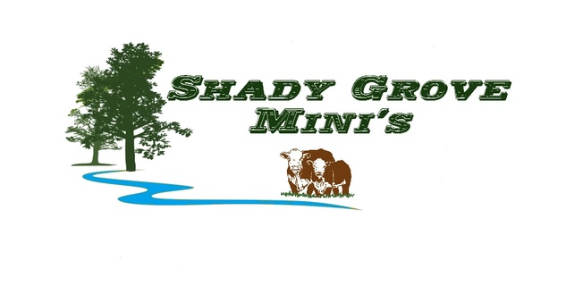 Shady Grove Mini's