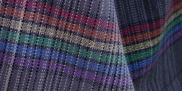 Rainbow stripes on a black and white pinstriped fabric