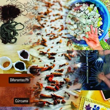 DIFERENTES RECURSOS NATURALES QUE UTILIZAMOS PARA LA CREACION DE NUESTROS PRODUCTOS