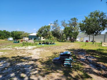 view from main gate looking toward house and art buildings